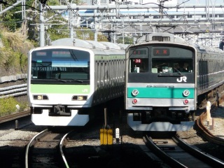 �R����ƍ鋞���̂���Ⴂ