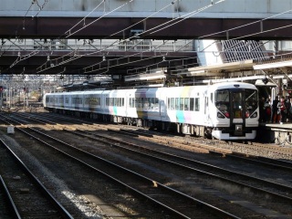 �d�Q�T�V�n ���{�� ��^�X�J�[�g��