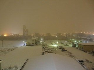 ����i�F�p�̂������� �y��i�z��