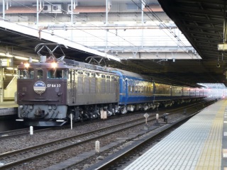 ���e���N���� �����ڂ̍��f�̊���