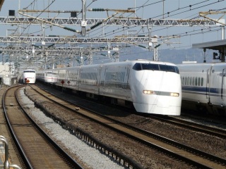 �R�O�O�n �V����