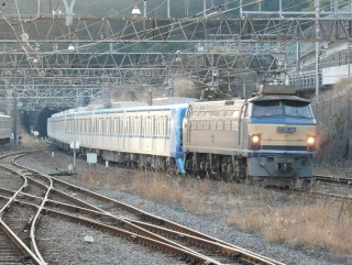 �e�P�T�O�O�O�n(������)�̏��̍b��A���f�̊�