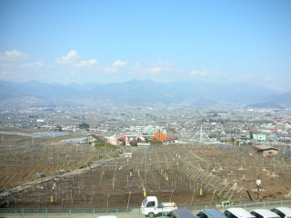 �e�������s�f�̊�