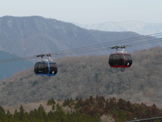 �e�������s�f�̊�