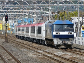 �e�d�Q�T�X�n �m���O�P�W�Ґ��̍b��A���f�̊�