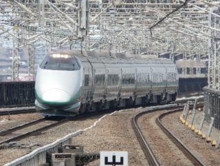 �e�S�O�O�n ����Ή^�]�f�̊�