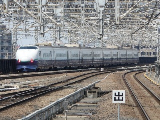 �Q�O�O�n �Ƃ���