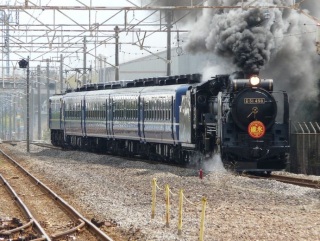 �e�����r�k���d�k�O�X�f�̊�