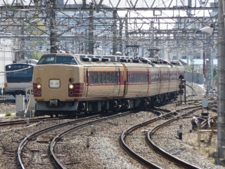 �P�W�X�n �z���f�[���� �͌��΂R��