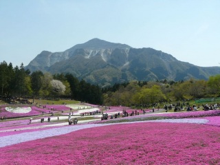 ���ō��̋u�ւ̗���