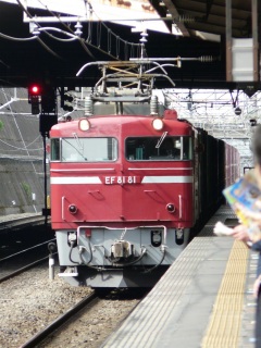 �n�`�C�` ���������p�𔭌��I