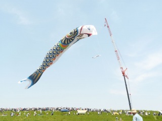 �e��1�� ���{�s�� ���a�Ձf�̊� �傫�Ȍ��I