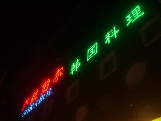 ���k���ւ̗��s��