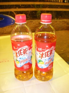 ���k���ւ̗��s��