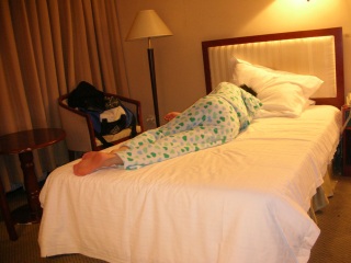 ���k���ւ̗��s��