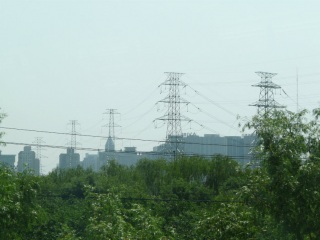 �y�k���z���d��