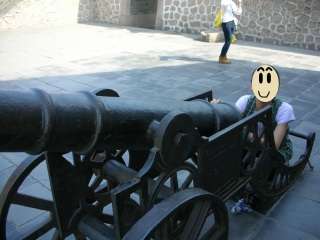 ���k���ւ̗��s��