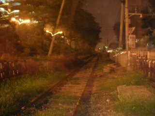 ���k���ւ̗��s�� �`���R�s�� �ݕ����`