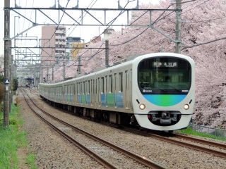【西武】30000系 スマイルトレイン  新宿線 〜桜と電車〜