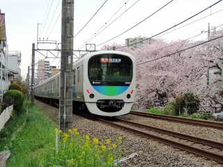 【西武】30000系 スマイルトレイン  新宿線 〜桜+菜の花と電車〜