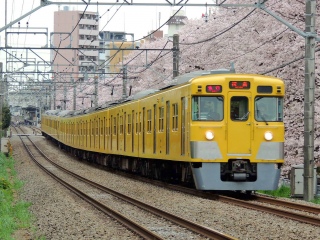 【西武】2000系  新宿線 〜桜と電車〜