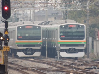 E231系 上野東京ライン��東海道線直通��