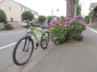 サイクリング×紫陽花