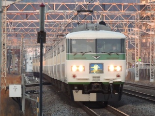 ※3月で辞める列車※185系 湘南ライナー号