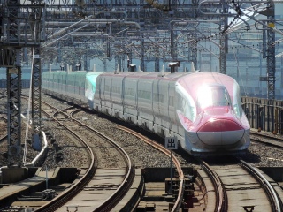 東北新幹線&秋田新幹線 E6系 こまち号+E5系 はやぶさ号
