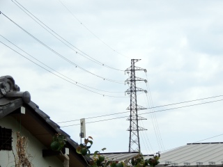 【東京電力】指扇線��4回線鉄塔��