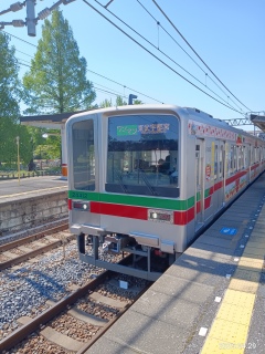 yS[fEB[N̗z20000n 