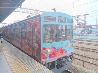 yS[fEB[N̗zS 7500n