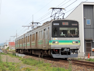 yS[fEB[N̗zS 7800n