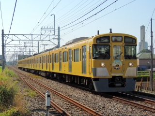 �y�����z2000�n �������� ‹��z�S�� 130���N �L�O�w�b�h�}�[�N�t�� �������sver›