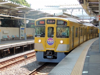 �y�����z2000�n �V�h�� ~�����ΐ�����~ ‹��z�S�� 130���N �L�O�w�b�h�}�[�N�t�� ��z�sver›