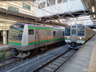 {̂тpX̗ ~E233n211n~