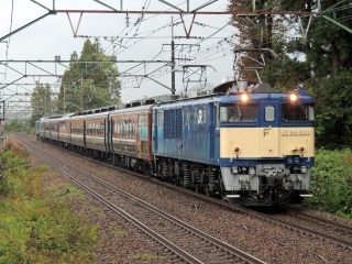 yJR{zz z㓒w 100N ^]