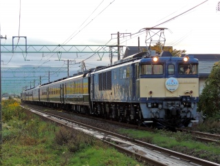 yJR{zz z㓒w 100N ^]