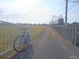 🌟JXJxTCNO🌟 ~ɓ~