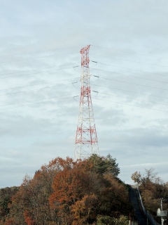 �yJR�����{�z���d�� ‹�V����J��› ~�g���S��~