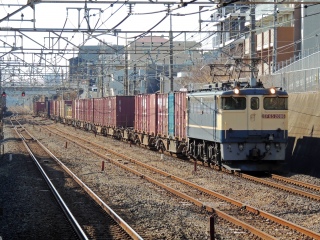 �yJR�ݕ��z���c��V���g�� ‹PF�㑖›