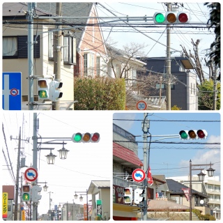 �y���{�M���z�M���@ ‹�������� �������܎s ����›