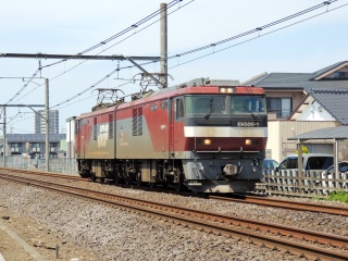�yJR�ݕ��z�����Y �L���^�g�b�v‼