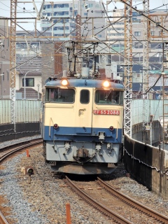 �yJR�ݕ��z���N�S ~���c�V���g��������~