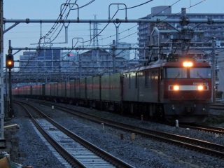 �yJR�ݕ��z�����Y ~���R�G�N�X�v���X������~