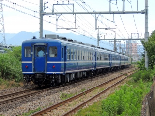 �yJR�����{�z�^�Ă̏�z�� ~����GV����ܐ��㍆~