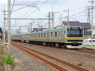 E231�n �y�p�̉N�̓��̉F�s�{�� ~�Ó�V�h���C��~