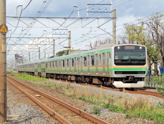 E231�n �y�p�̉N�̓��̉F�s�{�� ~��쓌�����C��~