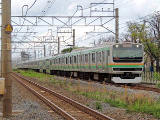E231�n �y�p�̉N�̓��̉F�s�{�� ~��쓌�����C��~