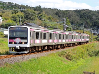 �yJR�����{�z��֐������ː� ~E501�n SAKIGAKE���I�Â������‹�I�̏H����ۍ���~